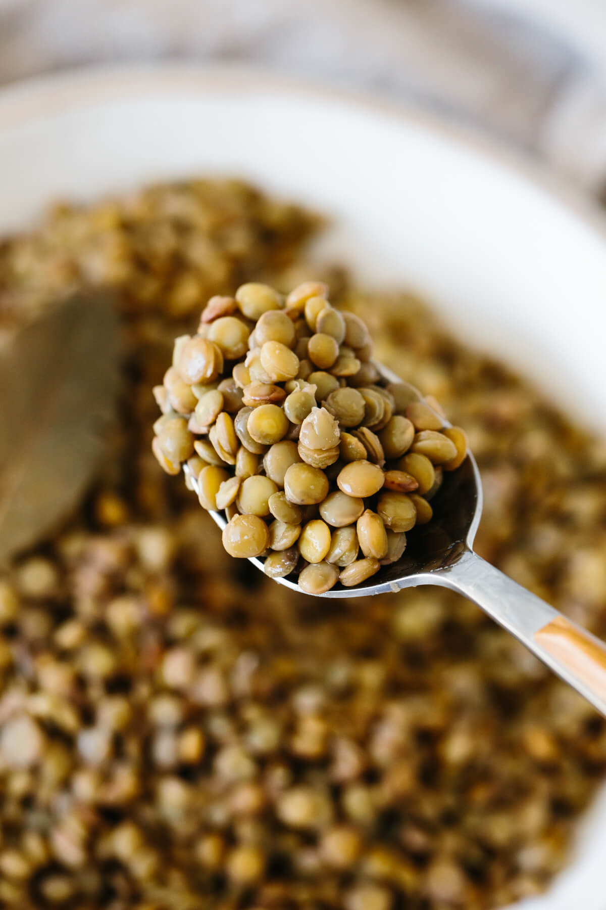 A spoonful of green lentils.